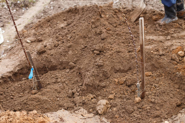 istock man planting a fruit tree in his garden 1392343230
