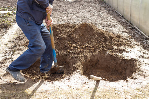 istock man digging a hole for planting a fruit tree in the garden 1392343350