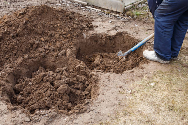 istock man digging a hole for planting a fruit tree in the garden 1392343373