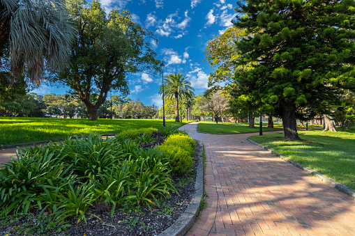 beautiful park with birds palm trees ponds waterfalls foot bridge lush green grass and trees in Burwood a suburban Sydney town NSW Australia