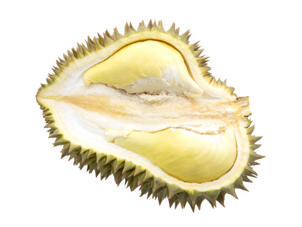 istock Half sliced durian isolated on white background 1392345536