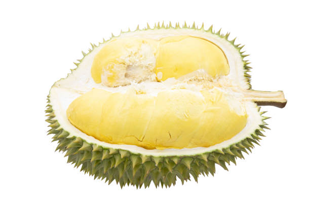 istock Durian fruit sliced isolated on white background 1392346612