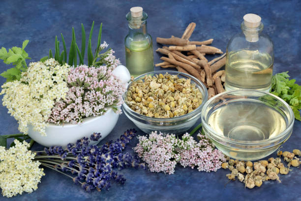 istock Herbs and Flowers to Heal Anxiety and Insomnia 1392348730