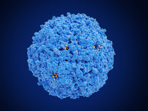 istock Nanomedicine: protein cage delivering a drug. 1392350814