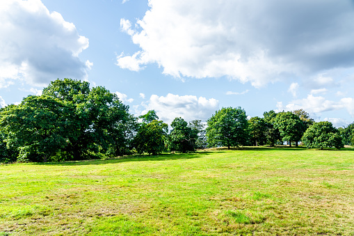 Landscape in park