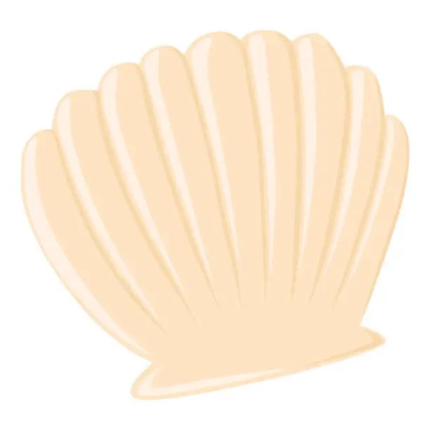 Vector illustration of Cute empty seashell flat vector isolated illustration