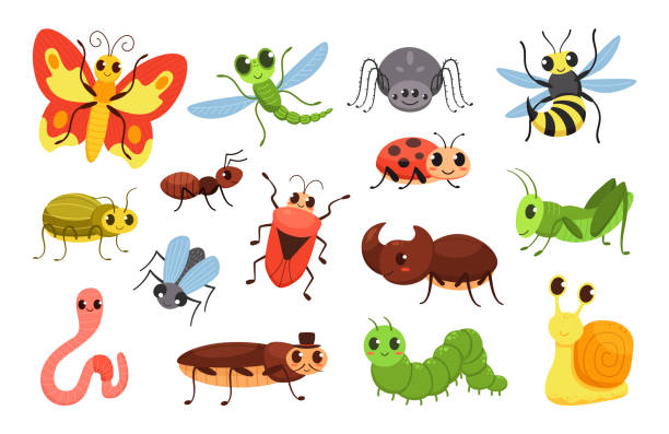 illustrazioni stock, clip art, cartoni animati e icone di tendenza di insetti dei cartoni animati. insetti felici, piccolo coleottero carino e bruco sorridente. set di illustrazioni vettoriali di insetti selvatici - grasshopper