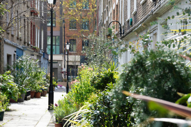 istock Plants on Colvile places london 1392356183