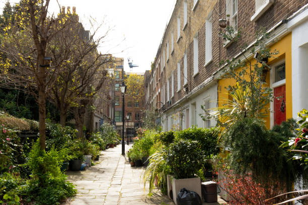 istock Plants on Colvile places london 1392356200