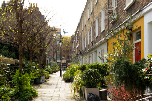 Plants on Colvile places london