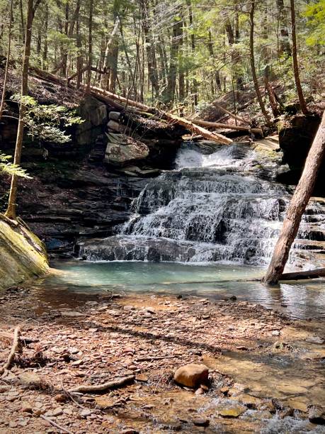 istock Springtime hike through Bankhead National Forest 1392357737