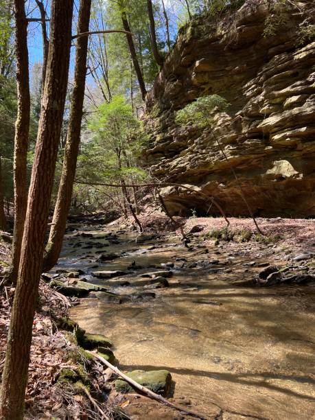 istock Springtime hike through Bankhead National Forest 1392357768