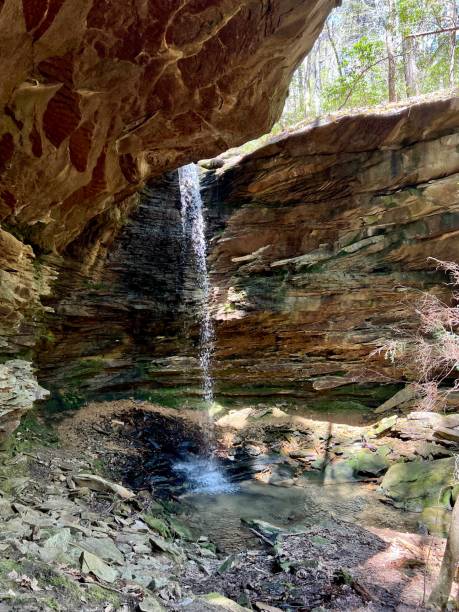 istock Springtime hike through Bankhead National Forest 1392357819