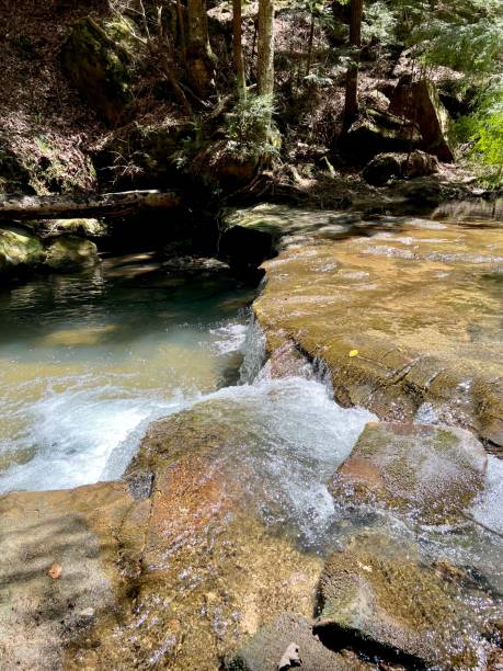 istock Springtime hike through Bankhead National Forest 1392357978