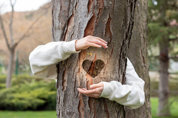 istock Arms hugging a heart on tree. Representing protection and love for nature 1392359242