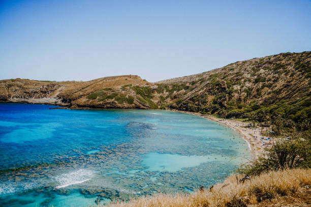 bahía de hanauma en oahu - hanauma bay hawaii islands oahu bay fotografías e imágenes de stock