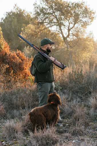 Male hunter with rifle on shoulder standing near Irish Red Setter and observing natural environment while hunting in rural area