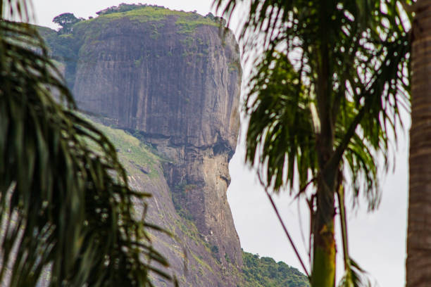 gavea stone vu du quartier de são conrado à rio de janeiro au brésil. - gavea mountain photos et images de collection