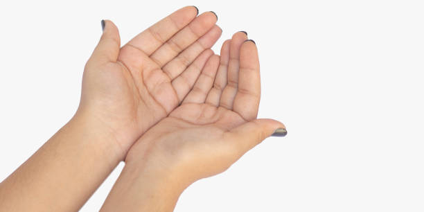 istock Concept Women's hands show something on white background. Palms up. High-resolution product 1392362714