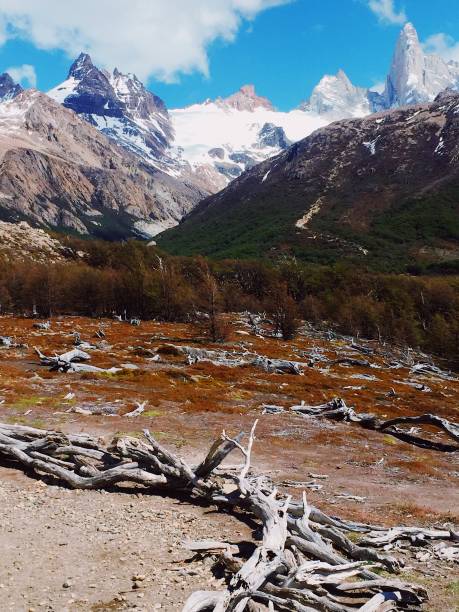 istock Torres del Paine 4 1392365027