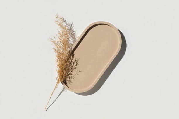 Podium for cosmetic product presentation. Abstract minimal geometrical form. Cylinder podium with dry pampas grass, soft shadow. Scene to show products. Showcase, display case. Flat lay, top view. podio para la presentación de productos cosméticos. forma geométrica mínima abstracta sobre fondo blanco. forma de piedra ovalada, sombra. escena, escaparate, pantalla. diseño minimalista. luz solar de moda. tendido plano, vista superior.