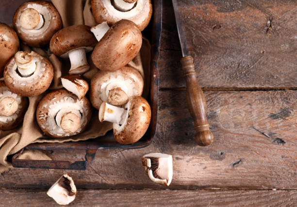 istock portobello mushrooms 1392368835