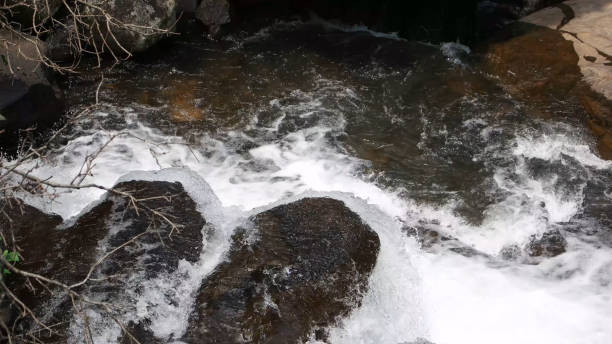istock River in Sri Lanka nature 1392369305