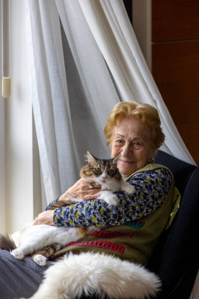 Cheerful senior woman, with daily home wear sitting by the window with her cat stock photo