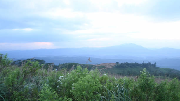 istock Mountain peak in Sri Lanka nature 1392369491