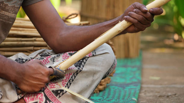 istock Men preparing cinnamon sticks in Sri Lanka 1392370166