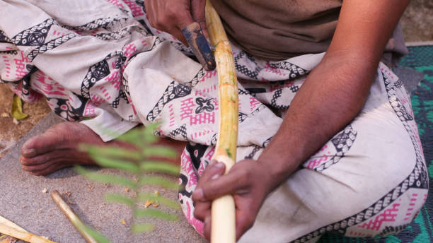 istock Men preparing cinnamon sticks in Sri Lanka 1392370180