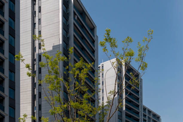 istock Facade of modern building in business district 1392370196