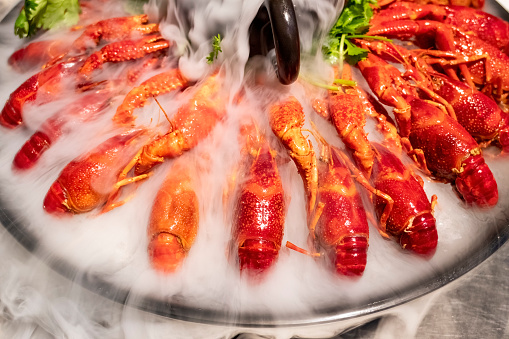 Crayfish in the mist formed by the evaporation of dry ice
