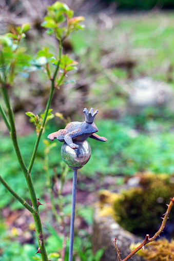 small sculpture of frog with crown in green garden