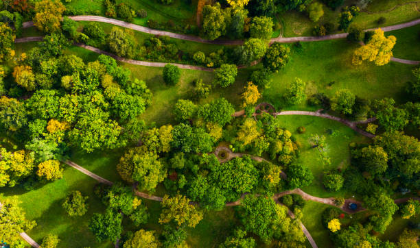 view over green summer park Top aerial view of green summer park
Weimar, Germany landscape arch photos stock pictures, royalty-free photos & images