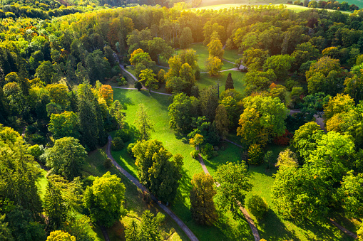Top aerial view of green summer park\nWeimar, Germany
