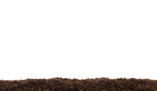 Soil border isolated on pure white background