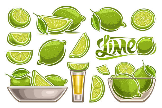 Vector Lime Set Vector Lime Set, lot collection of cut out illustrations fruit still life composition in transparent dish, group of variety sliced fruity limes, alcohol gold tequila in glass short with lime garnish tequila shot stock illustrations