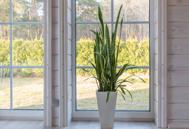 istock Bright photo studio interior with big window, high ceiling, white wooden floor 1392376387