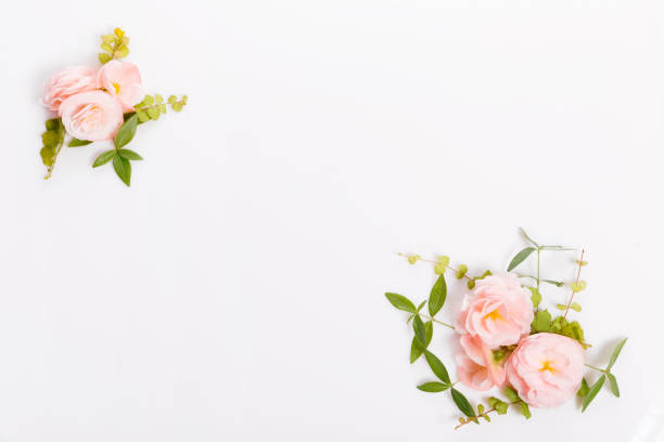 istock Festive flower composition on white background. Overhead view 1392376396