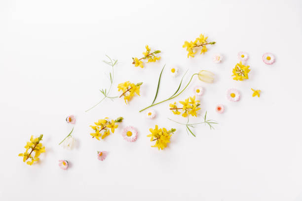 istock Spring frame of small flowers and daisy, floral arrangement 1392376413