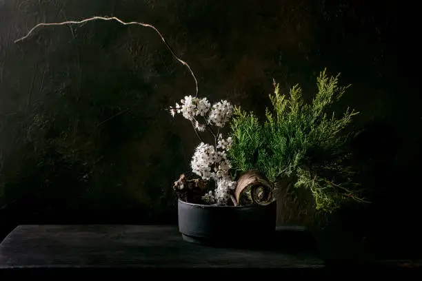 Spring ikebana. Floral composition with spring blooming white flowers, thuja branch and stones in black ceramic bowl, standing on black wooden table. Japanese style home decor