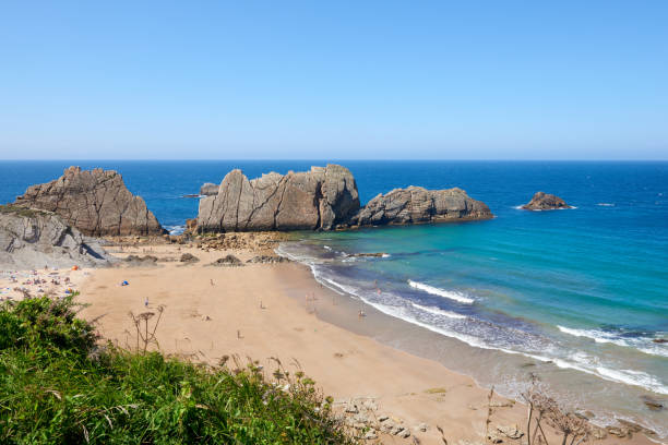 istock An extensive beach with transparent waters and surrounded by vegetation. 1392379482