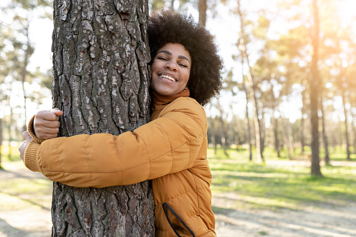 very happy afro american woman hugging a huge tree trunk in the park with her eyes closed and a toothy smile. concept of caring for the environment