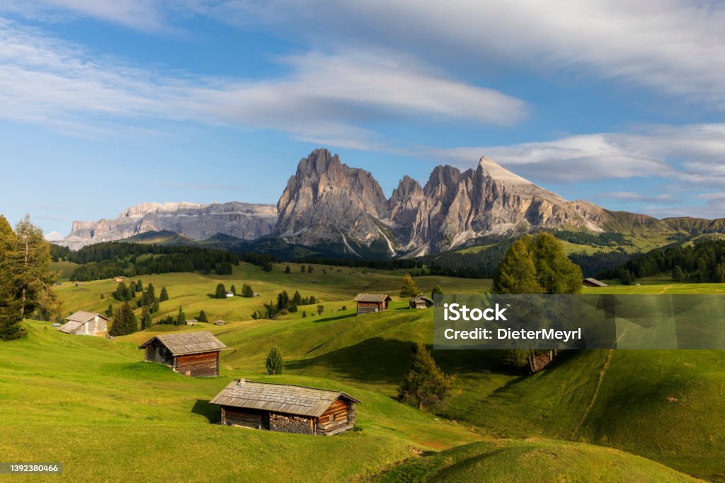 Summer at Sassolungo or Langkofel Mountain Group, Dolomites, Trentino, Alto Adige Dolomites, Italy, Siusi, Seiser Alm, Alto Adige - Italy Seiser Alm Stock Photo