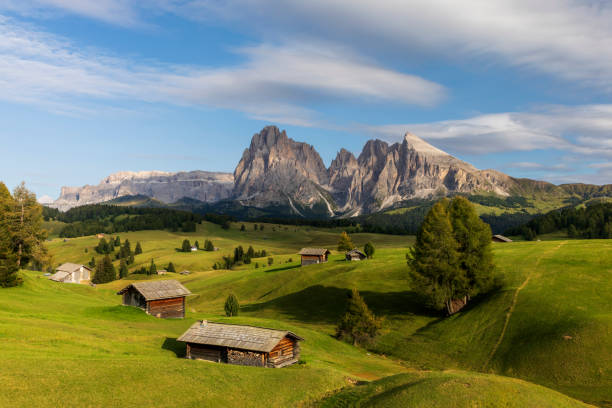Summer at Sassolungo or Langkofel Mountain Group, Dolomites, Trentino, Alto Adige stock photo