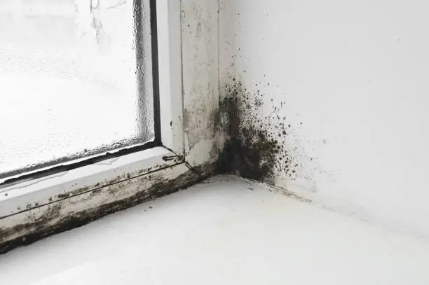 The damp and mold in the wall next to window