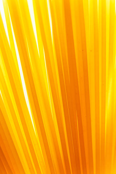 istock Close up background of spaghetti pasta 1392384412