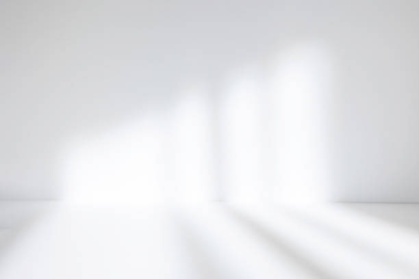 istock Abstract white studio background for product presentation. Empty room with shadows of window. Display product with blurred backdrop. 1392386231