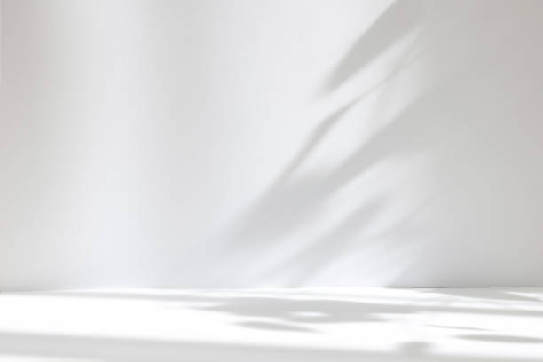istock Abstract white studio background for product presentation. Empty room with shadows of window and flowers and palm leaves . 3d room with copy space. Summer concert. Blurred backdrop. 1392386266